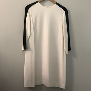 Zara White and Black Sheath Dress